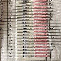 排卵第五天，试纸怎么就深了呢？啥情况？？？太不对了吧 第一个是排卵前的，后面几天很弱，今天那么深...