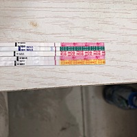 末次月经，2.12，帮忙看看是否怀孕了？不会是炸胡吧 帮忙