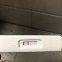 这是有还是没有？