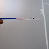 大家帮忙看一下，前面两张是5号测的，后面两张是今天早上测的，姨妈期是今天！