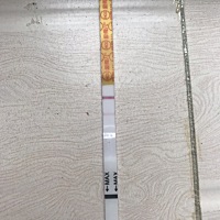 宝妈们看看我这个是怀孕了吗？