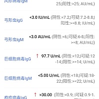 谁能帮我看看这个报告，谢谢大家