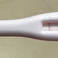 这个是不是怀孕