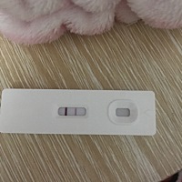 亲问这是怀孕了吗