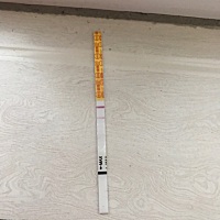 颜色这么浅，这个到底有没有怀上，大家帮我看看