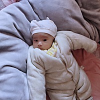 宝宝现在两个多月了。宝宝吃奶老是吃一会儿就睡觉。  三四天大便一次 母乳喂养的。 马上快三个月了 就涨...