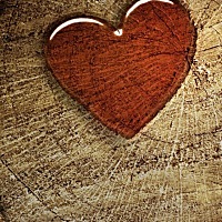 你不顾我的心情，那我也是不是不用顾你的心情