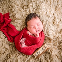 宝宝拍照片比大人还贵，13天宝宝！