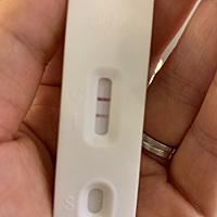 请问这样是怀孕了吗？