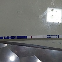 昨晚上和今早上的，今天比昨天的颜色深了些，备孕第一月就成功了，好开心(●°u°●)​ 」