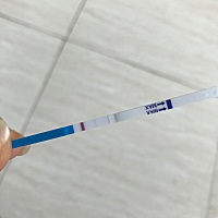 请问这是怀了吗？之前都是2号来月经，今天11号了还没来