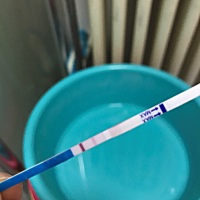 2月6号末次，月经期很准，推迟3天，测量结果如图，是中奖了吗？本来打算这个月不中就不要了，二胎这条路...