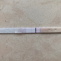 有点懵 3月9号早晨海氏海诺早孕棒 3月10号早晨的大卫早孕试纸 不知道到底怀了没？