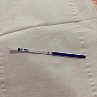 末次月经2.3到2.9，周期比较长经常40天上下，排卵试纸测到2.28排卵，27，28两天都安排了，最近两天有胸...