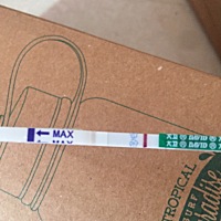 经期推迟两天还没来，测了是白板，一般几天能测出来