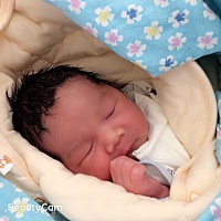 2018年3月6日，二宝你出来见妈妈了！不过你不乖，要照蓝光，妈妈每天9点半才能远远的看你一眼，好让...