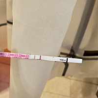 今天排卵日，希望中奖