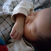 41天的宝宝，自己一个人带，能硬挺过来吗？有多少宝妈是自己带娃的？