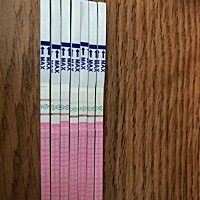 这是快要排卵了吧，希望好孕啊…… 这是快要排卵了吧……