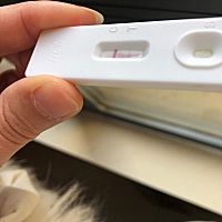 请问姐妹们这是怀孕了吗？