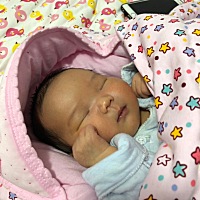 我家宝宝刚六七天每天拉屎次数像小便一样多，每次换包子都拉屎～拉的屎看着也不稀～今天给她换尿布我看...