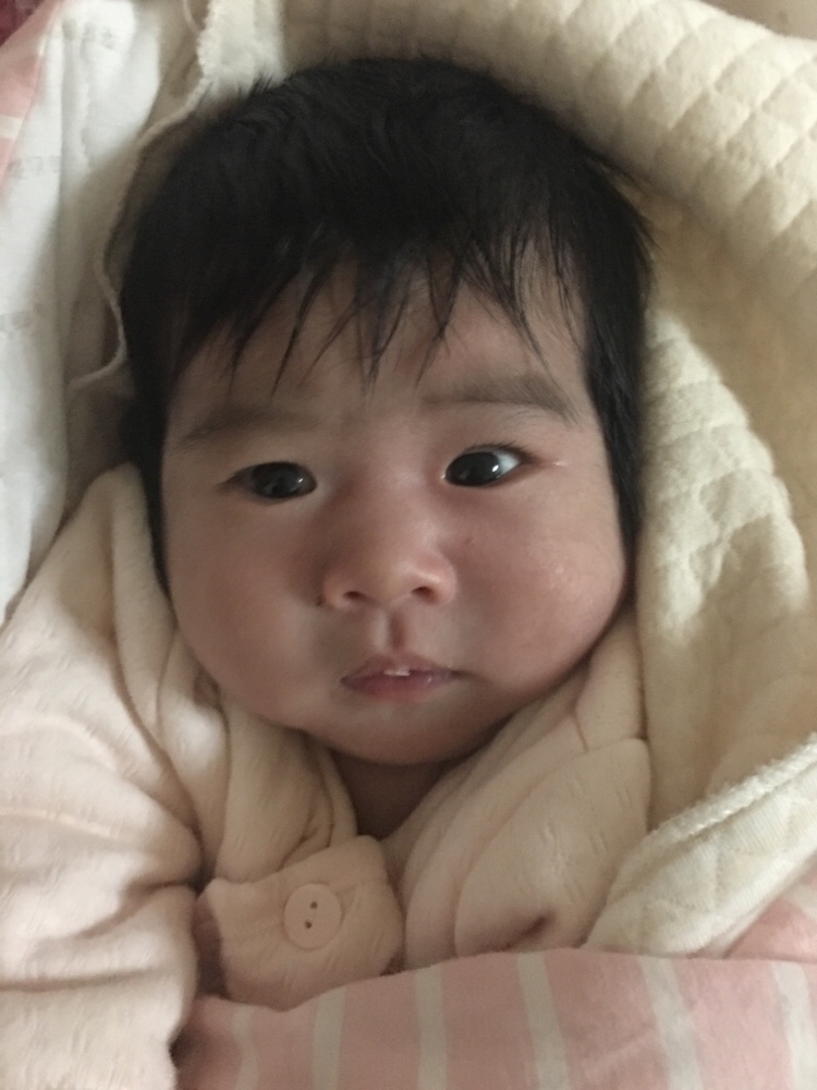 26天