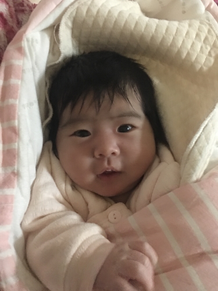 第26天