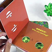 宝宝快五个月，你们都给买的啥玩具？