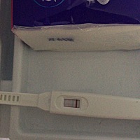 上个月14号月经结束，24号排卵日，28号左右开始用验孕棒，天天测，测的人都要崩溃了，一直没有反应！月...