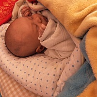 睡觉的时候特别乖，气人的时候气的牙根疼。