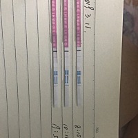 想问问姐妹们看得出来越来越深吗 这个是排卵试纸 到底什么时候来强阳呀 一直也不怎么变深 2.21来的大姨...