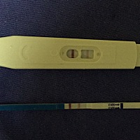 这算是中了吗？ 大姨妈延迟第五天，今晚突然想抱着试试的心态去测的😎