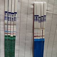 例假推迟6天了，两个不同牌子的早早孕试纸连续几天测试的结果，这是怀上了吗？？求解释