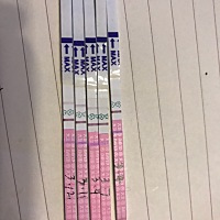2.9末次月经，这是这几天用排卵试纸测试的，今天早上用验孕条是白板，请问是怀了 还是没怀