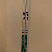 2月8号来的大例假～到现在还没有来例假～刚刚测了一下是这种情况～这是没有怀孕吗？我是不是要去医院检...