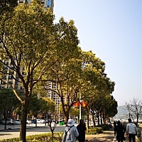 宝宝该退房了，到时间了吖！