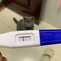 姐妹们帮我看一下，是不是只有我自己能看见有一条浅色的啊，我这一天天都魔怔了，哎，2月11号末次月经，...