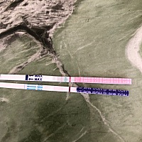 大姨妈还有两天就来了，前几天都是白板，今天早上测出排卵试纸突然加深，验孕棒有一点点印，看得见的那...