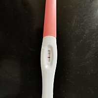 今年的猪宝宝🐷