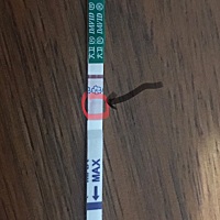 这个有希望吗（按理今天应该是月经第一天）