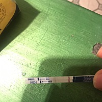 末期月经2月21日。排卵日在3月9日。昨天早上，晚上和今晨测试条都有很淡很淡，淡到几乎看不到的第二条出...