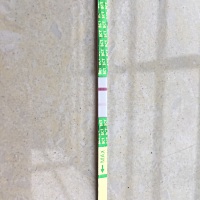 上个月7号来的大姨妈，这个月没来，昨天上午9点测了次，下午16点测了次，今天早上8：25测了次，第二条杠...