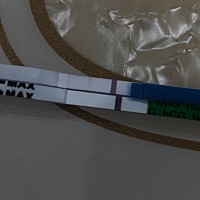 末次月经2月16，应该周日3月17例假，昨晚测试好像能看到第二条线（图片下面那个是昨晚的，上面是昨天早...