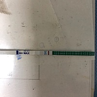 26号排卵，这是有猪宝宝了么