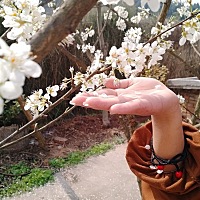 。跪求姐妹们谁有老中医助怀孕的中药方子，给我一下，谢谢了