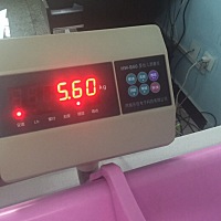 小奶狗，两个月一共长了11斤2两，身高54，是胖是瘦[疑问]