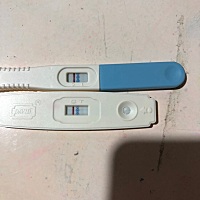 备孕那么久，每天都测，今天早上终于测出两条啦，过几天去医院确认，希望这次是真的怀了☀️☀️