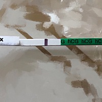 末次是2月16，应该周日来例假，今天周五早上测的，有中的迹象吗？还有继续测的必要吗？感觉等待的日子好...