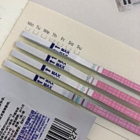 我早起9.20测的，准吗是排卵了吗今天