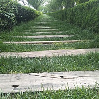 没怎么显怀，依旧天天早上吐，最近都吐胆汁了。但是白天还好。昨天称了下，又瘦了两斤。